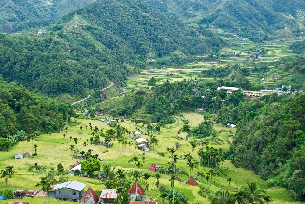 rice-terraces-8